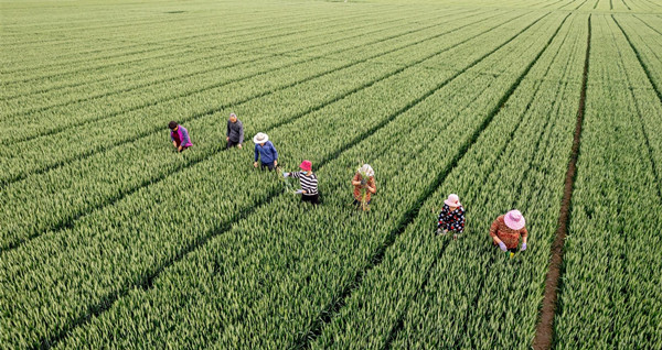 /gb2312/qishiyegonghui/14100.html